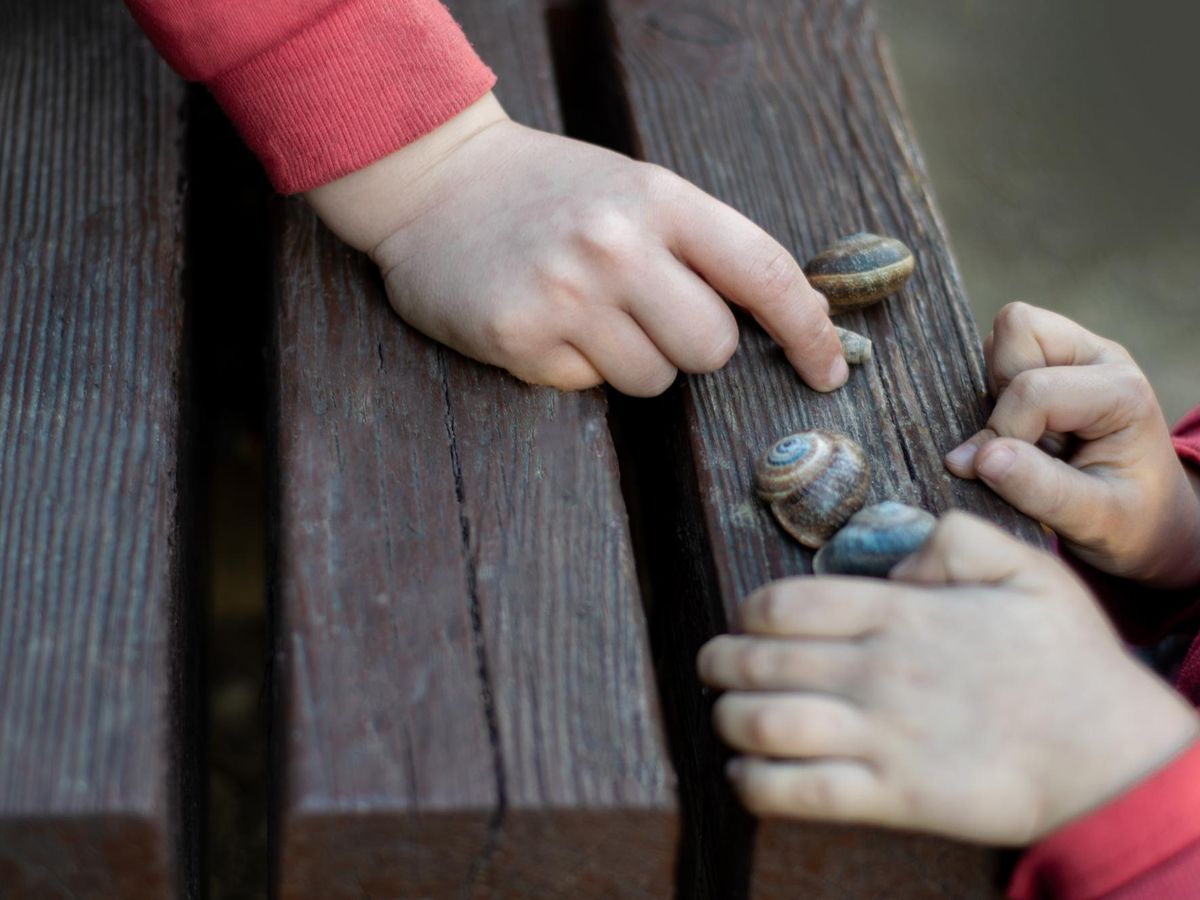 Jak placówki wychowawcze wspierają rozwój młodzieży poprzez edukację i codzienne zajęcia